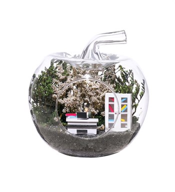Teraryum Mini Ofis Erkek - Yeşil
