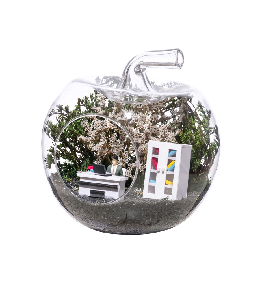 Teraryum Mini Ofis Erkek - Yeşil