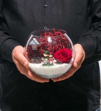 Teraryum Solmayan Gül Işıklı Romantik Aşk