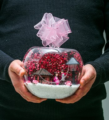 Teraryum Işıklı Pembe Sonsuz Aşk