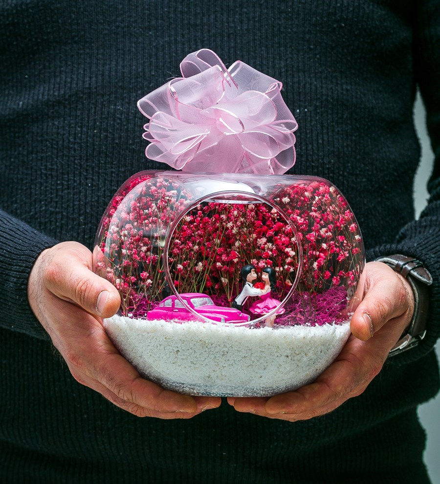Teraryum Pembe Aşk Yolculuğu