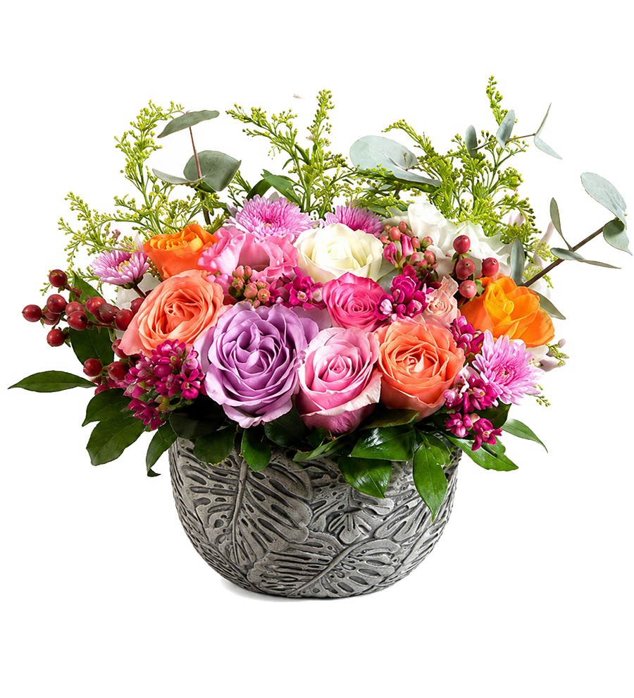 Paloma