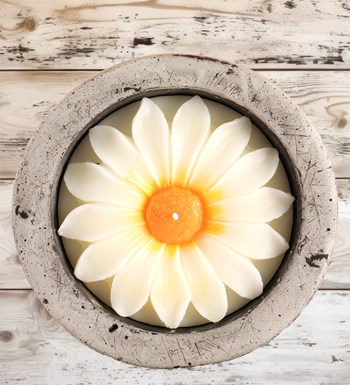 %100 Doğal Soya Wax Kayıp Hazineler Papatya Dekoratif Mum
