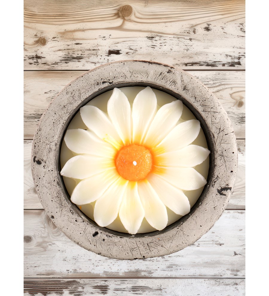 %100 Doğal Soya Wax Kayıp Hazineler Papatya Dekoratif Mum