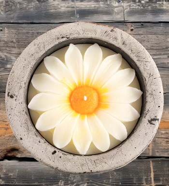 %100 Doğal Soya Wax Kayıp Hazineler Papatya Dekoratif Mum