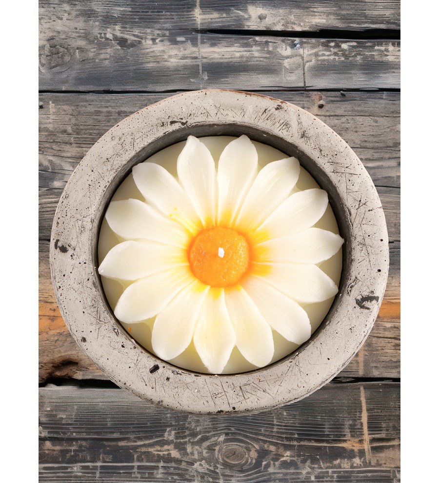 %100 Doğal Soya Wax Kayıp Hazineler Papatya Dekoratif Mum