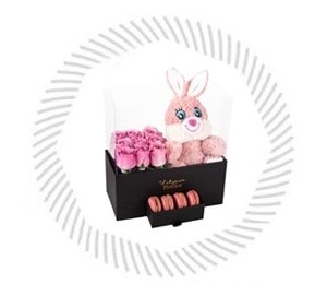 Peluşlu Kutular