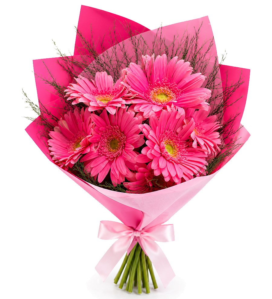 Pembe Gerbera Buketi