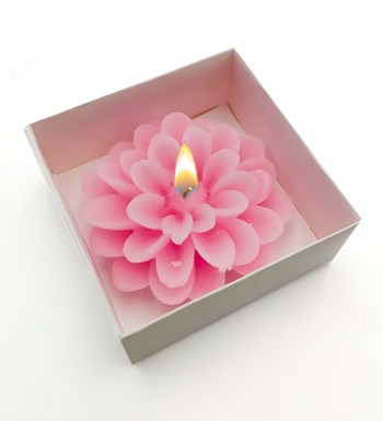 Pembe Fincan & Atlı Karınca & Kupa & Papatya Anahtarlık & Mum Hediye Seti