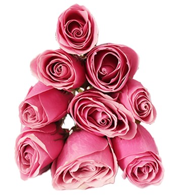 Şeffaf Çantada Pembe Gül Buketi