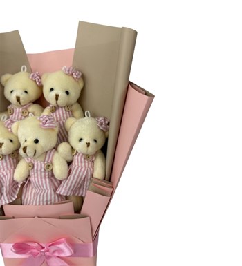 Pembe Çizgili Elbiseli Sevimli Peluş Ayıcık Buketi