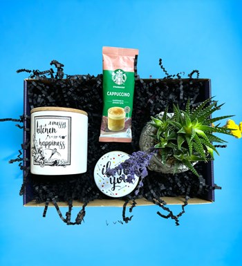 Howarthia Gift Box