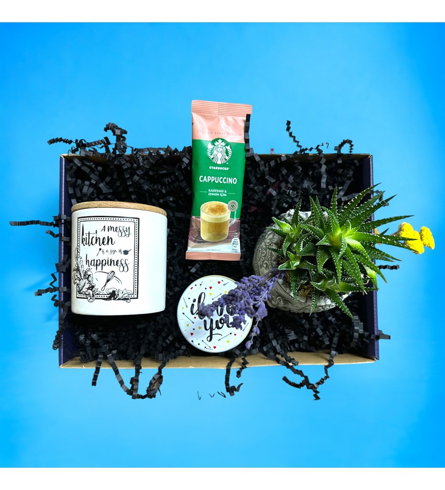 Howarthia Gift Box