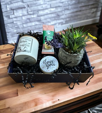 Howarthia Gift Box