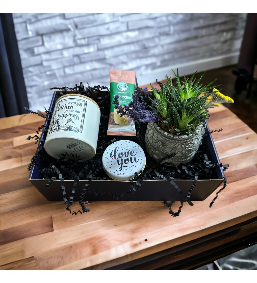 Howarthia Gift Box