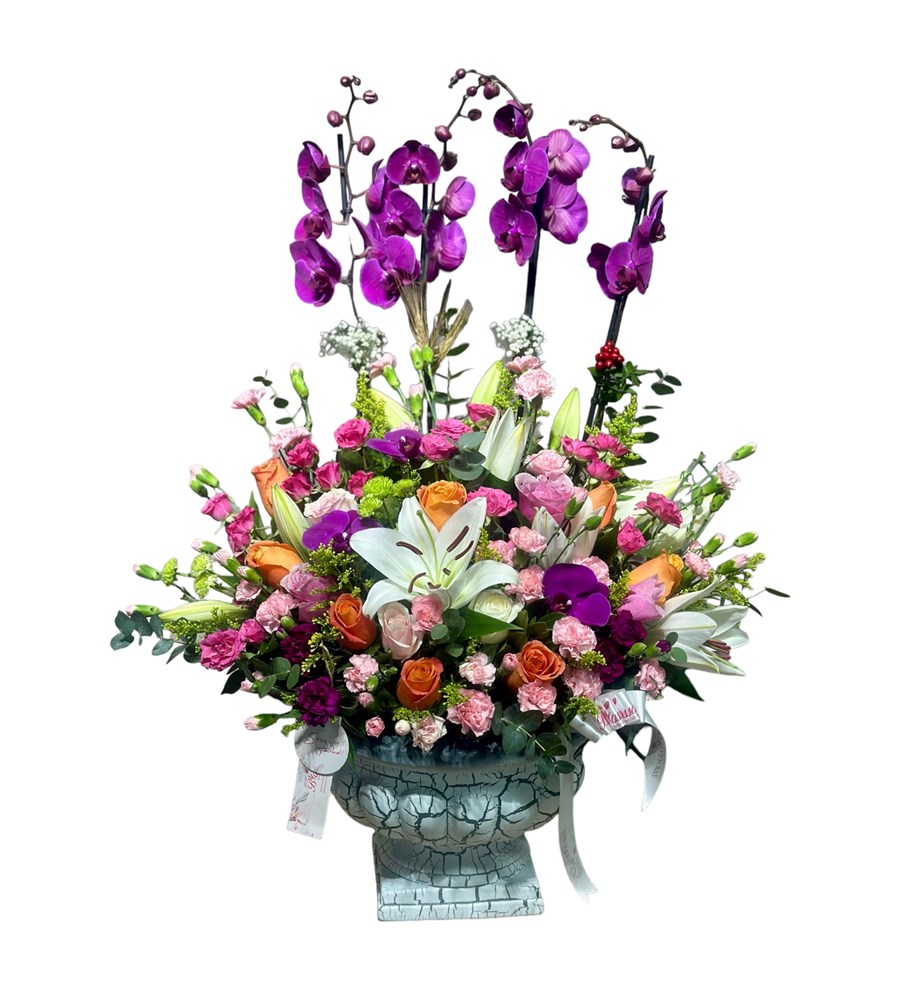 Deluxe Magic Purple Orkide