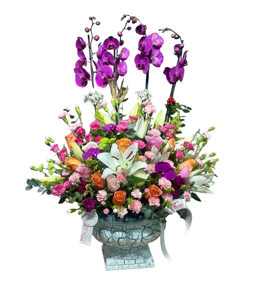 Deluxe Magic Purple Orkide