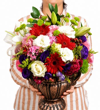 Lilyana Flowers - Rania