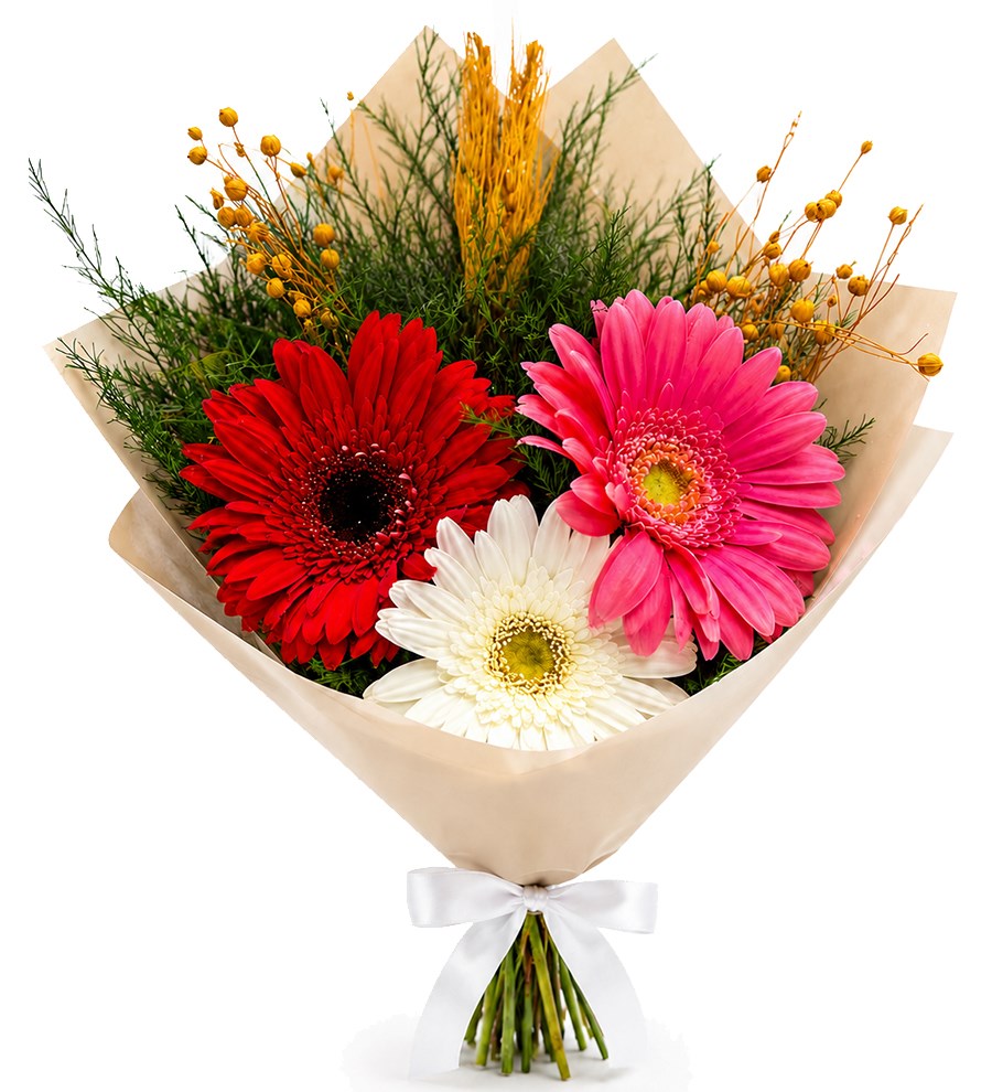 Renkli Gerbera Buketi