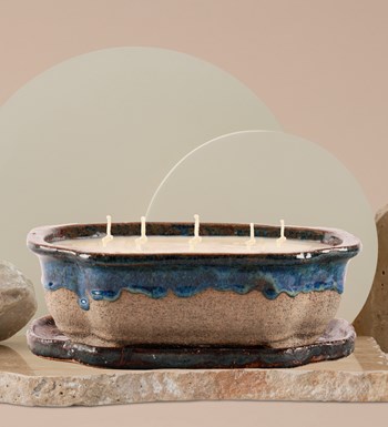 %100 Doğal Soya Wax Art of Ceramic Serisi İncir Kokulu Mum