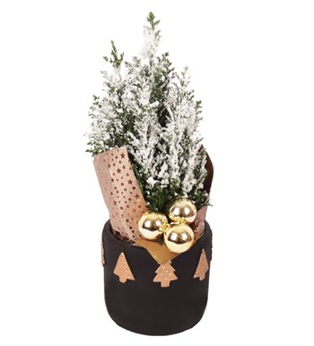 Lilyana Flowers - Siyah Dekoratif Saksıda Yılbaşı Ağacı