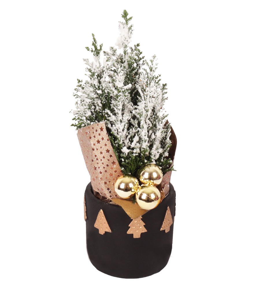 Siyah Dekoratif Saksıda Yılbaşı Ağacı