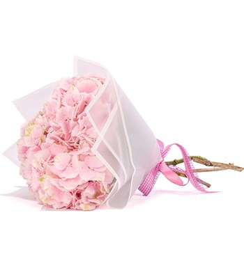 Pembe 3 Dal Ortanca Buketi
