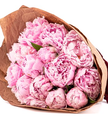 Natural 15'li Pembe Şakayık Buketi