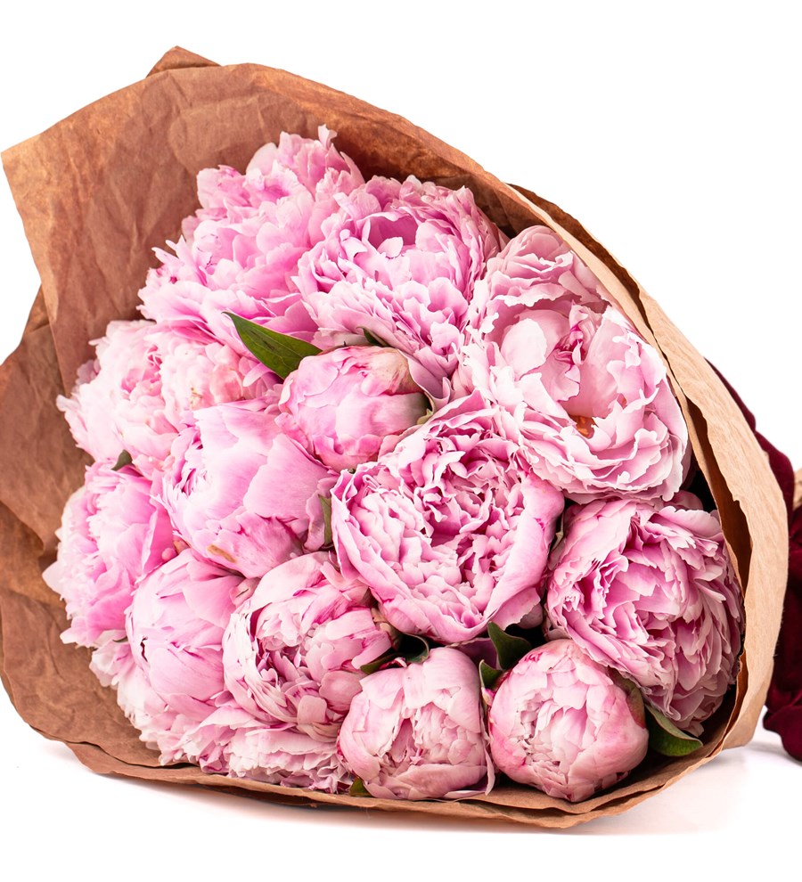 Natural 15'li Pembe Şakayık Buketi