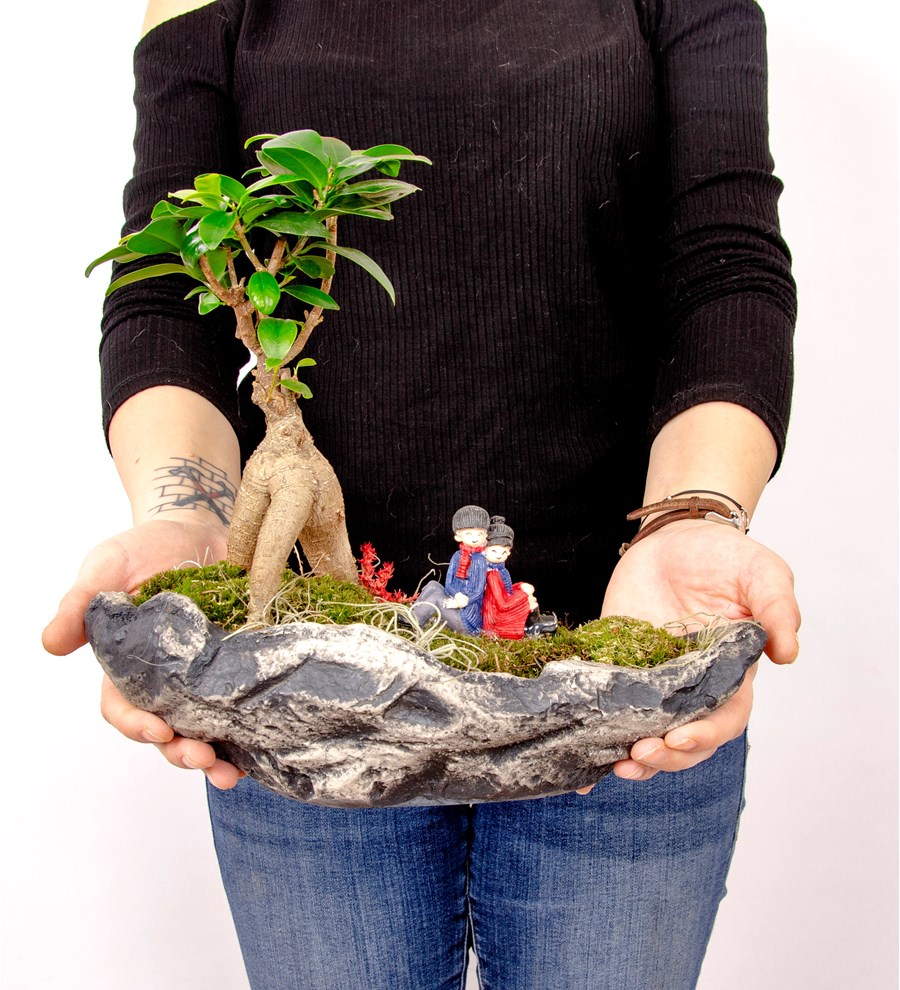 Marineris Serisi Sırt Sırta Bonsai Tasarım