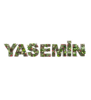 Kişiye Özel 7'li Harf Saksıda Sukulent Tasarım