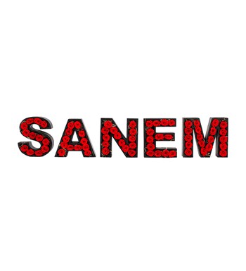 Kişiye Özel Harf Saksıda Beşli Kırmızı Solmayan Gül Tasarımı