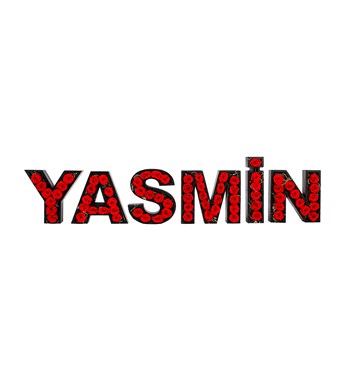 Kişiye Özel Harf Saksıda Altılı Kırmızı Solmayan Gül Tasarımı 