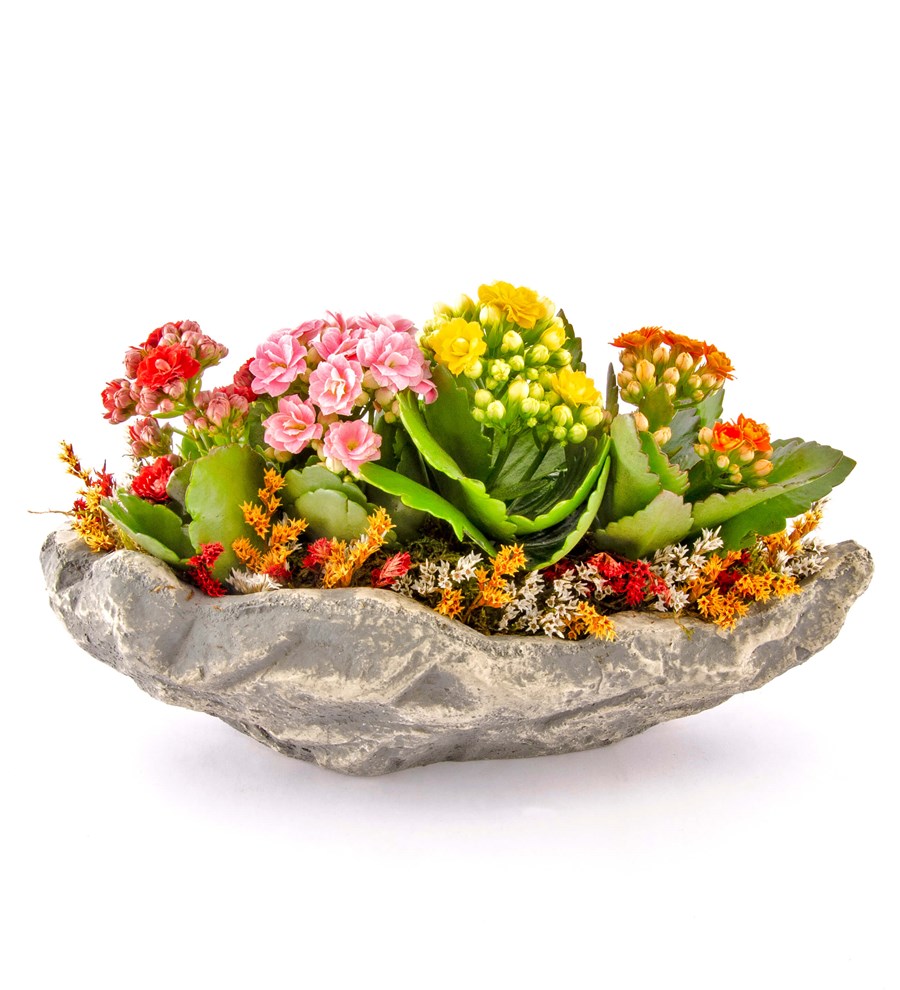 Marineris Serisi Kalanchoe Tasarım