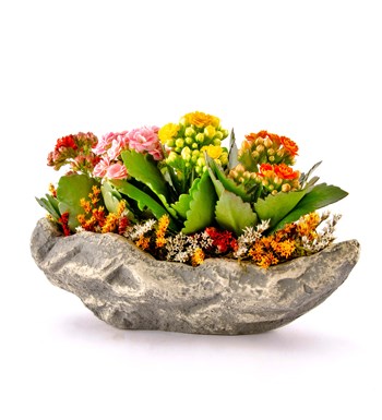 Marineris Serisi Kalanchoe Tasarım