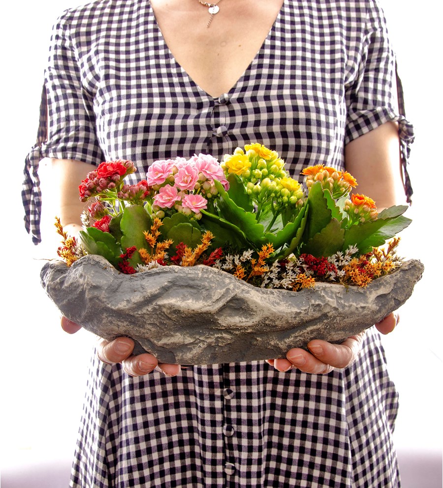 Marineris Serisi Kalanchoe Tasarım