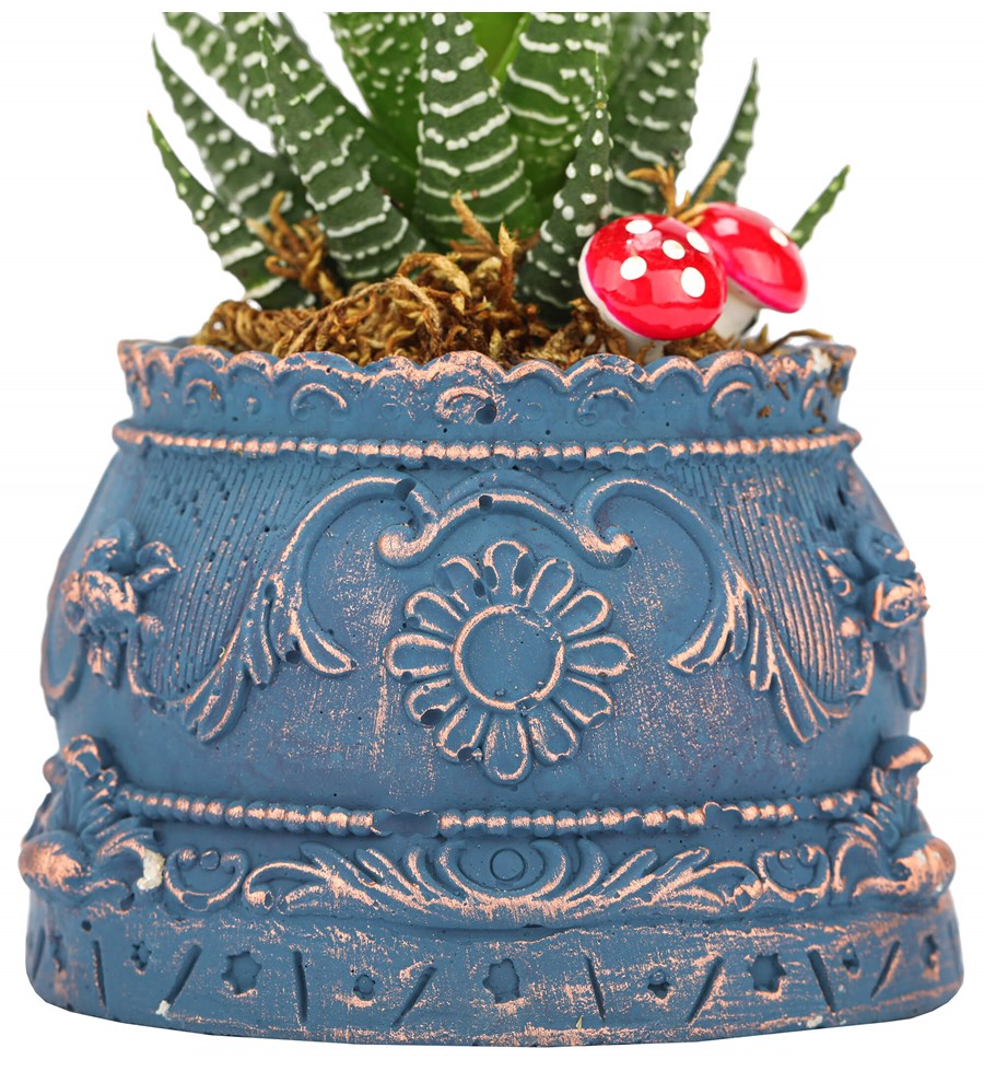 Trevi Barok Serisi Haworthia Tasarım