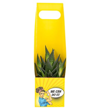 We Can Do It Serisi Haworthia Zebra Tasarım