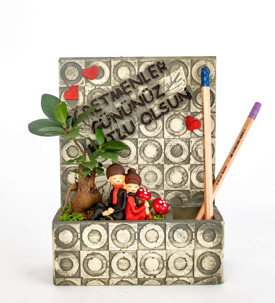 Öğretmenler Günü Özel Frame Serisi Sırt Sırta Ficus Bonsai ve Kalemlik Tasarım