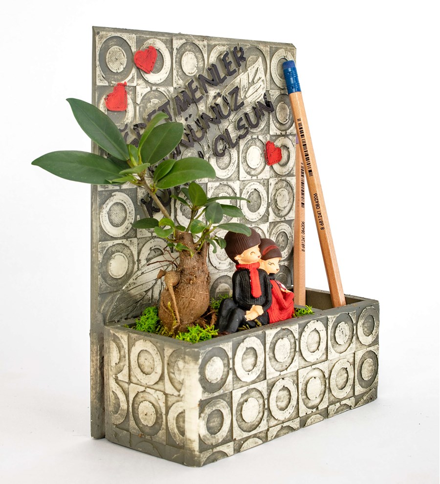 Öğretmenler Günü Özel Frame Serisi Sırt Sırta Ficus Bonsai ve Kalemlik Tasarım