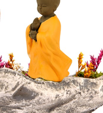Marineris Serisi Buda Bonsai Bahçesi