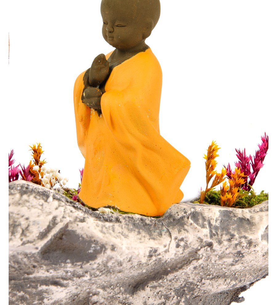 Marineris Serisi Buda Bonsai Bahçesi