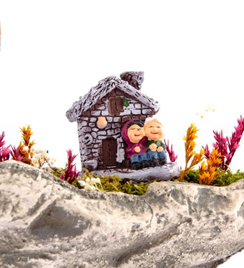 Marineris Serisi Taş Evim Bonsai Bahçesi