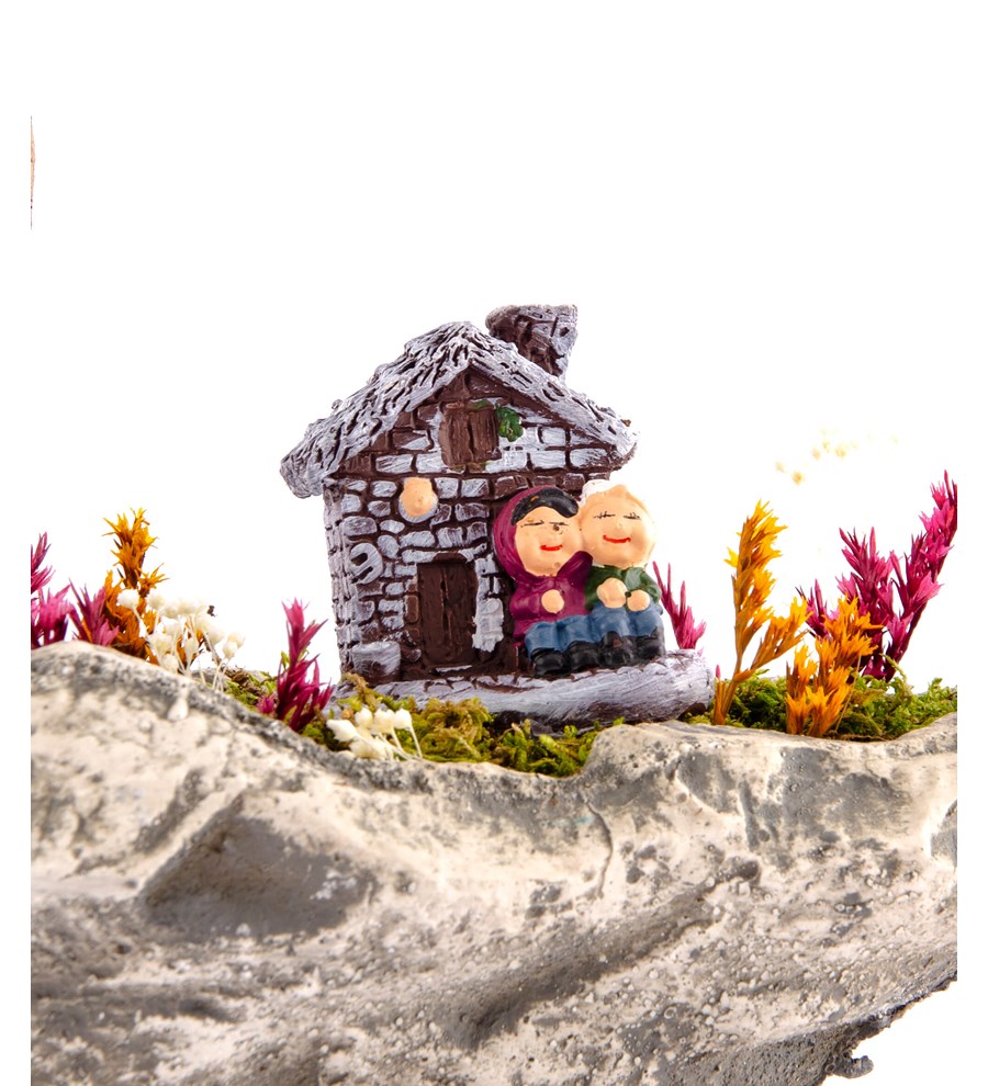 Marineris Serisi Taş Evim Bonsai Bahçesi