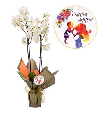 Lilyana Flowers - Canım Annem Baskılı Çift Dal Beyaz Orkide