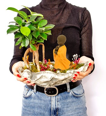 Marineris Serisi Buda Bonsai Bahçesi