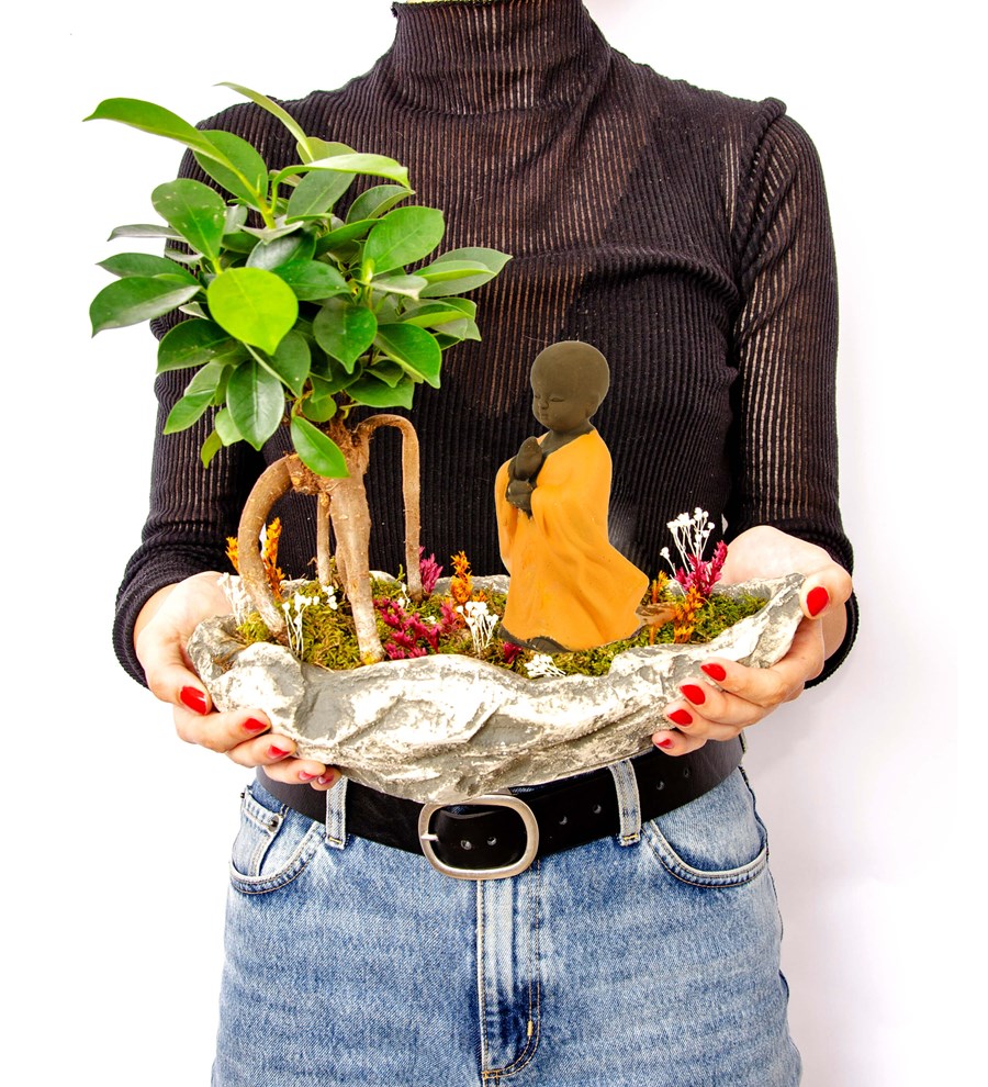 Marineris Serisi Buda Bonsai Bahçesi