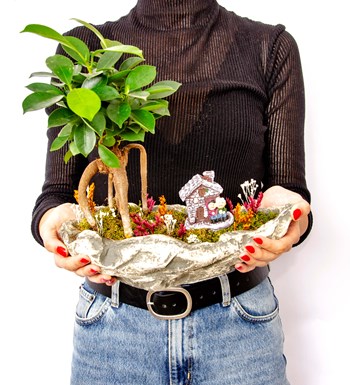 Marineris Serisi Taş Evim Bonsai Bahçesi