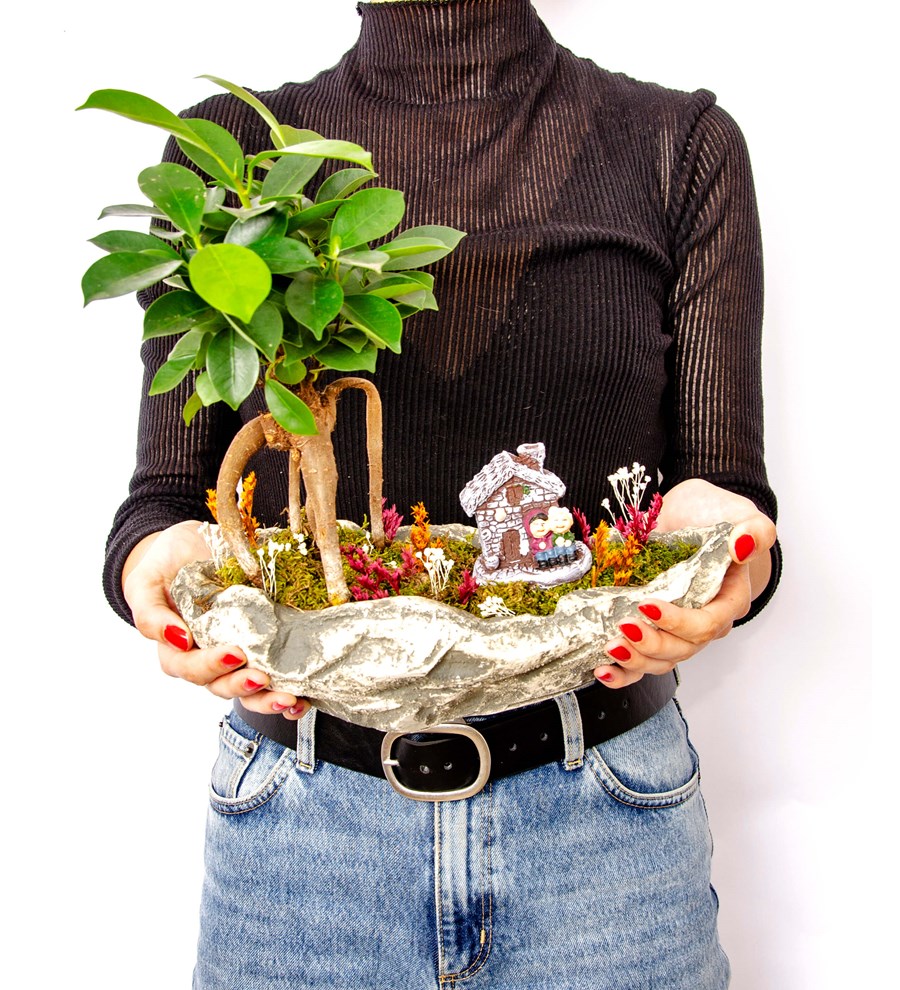 Marineris Serisi Taş Evim Bonsai Bahçesi