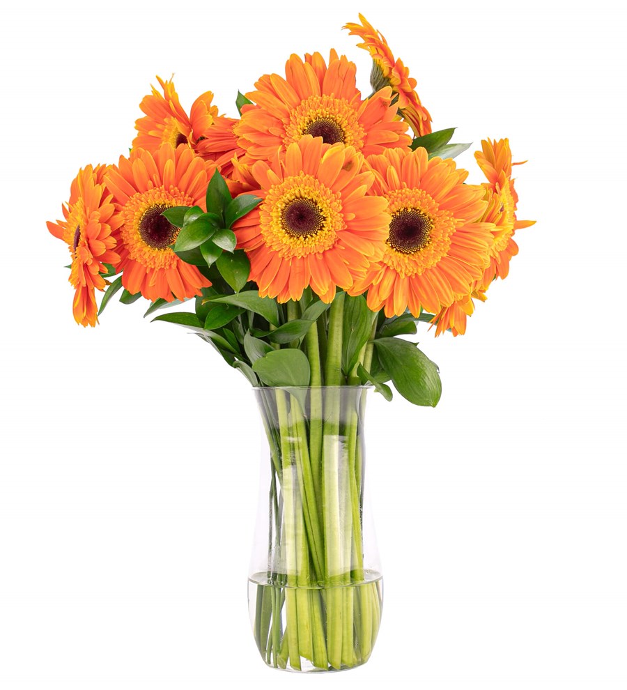 Gün Işığım - Turuncu Gerbera Aranjmanı